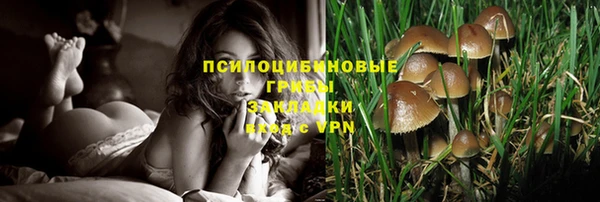 кокс Нефтекумск